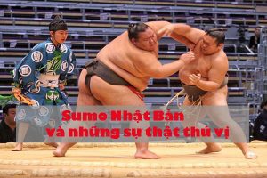 Sumo Nhật Bản – TOP những SỰ THẬT có thể bạn chưa biết