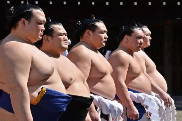 Sumo Nhật Bản 