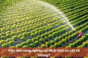 Việc làm nông nghiệp tại Nhật Bản có vất vả không?