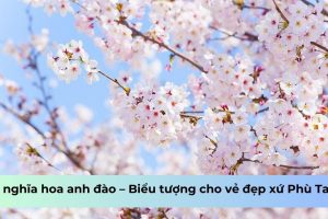 Ý nghĩa hoa anh đào – Biểu tượng cho vẻ đẹp xứ Phù Tang