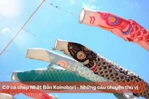 Cờ cá chép Nhật Bản Koinobori – Những thông tin thú vị