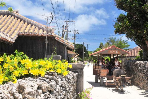 Đảo Taketomi nổi tiếng với những ngôi nhà truyền thống của Okinawa và bãi cát trắng, tạo nên sự hấp dẫn đối với du khách.