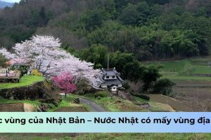 Các vùng của Nhật Bản – Nước Nhật có mấy vùng địa lý?