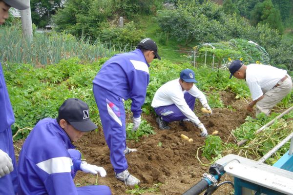 Cung cấp các chương trình đào tạo và hỗ trợ kỹ thuật cho nông dân 