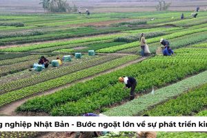 Nông nghiệp Nhật Bản – Bước ngoặt lớn về sự phát triển kinh tế