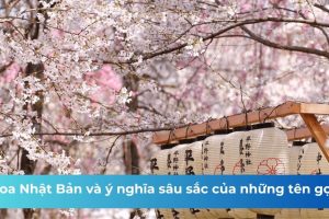 Hoa Nhật Bản và ý nghĩa sâu sắc của những tên gọi