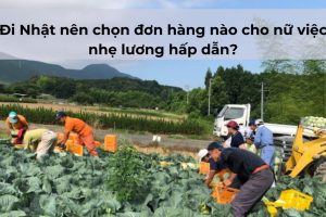 Đi Nhật nên chọn đơn hàng nào cho nữ việc nhẹ lương hấp dẫn?