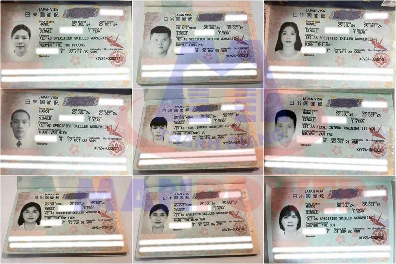 visa lao động