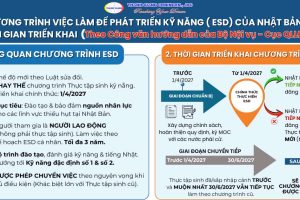 Chương trình ESD Nhật Bản là gì? Thông tin đầy đủ về chính sách mới thay thế Thực tập sinh kỹ năng