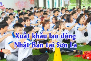Xuất khẩu lao động Nhật Bản tại Sơn La: Lộ trình đậu đơn nhanh, đi an toàn