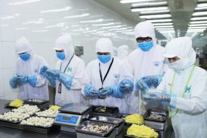 KSNV1120 – KỸ SƯ THỰC PHẨM – EHIME – TUYỂN TẠI NHẬT, VIỆT NAM