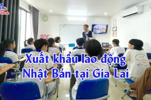 Xuất khẩu lao động Nhật Bản tại Gia Lai: Chọn đúng lộ trình, đậu phỏng vấn nhanh, đi an toàn