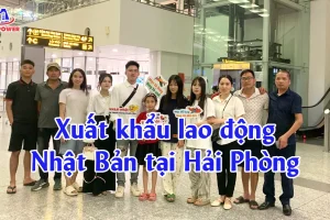 Xuất khẩu lao động Nhật Bản tại Hải Phòng: Chọn đúng đường đi để lương ổn, phí rõ