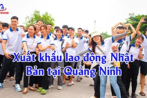 Xuất khẩu lao động Nhật Bản tại Quảng Ninh: Chọn đơn hàng chuẩn, phí rõ ràng, đi đúng lộ trình