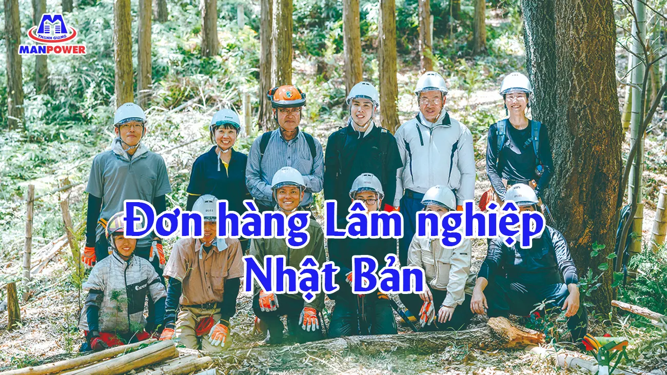 Đơn hàng Lâm nghiệp Nhật Bản
