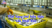 Đơn hàng chế biến thủy sản Nhật Bản: Lương ổn, nhiều việc – cách chọn đúng để không “đuối”