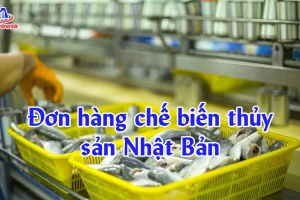 Đơn hàng chế biến thủy sản Nhật Bản: Lương ổn, nhiều việc – cách chọn đúng để không “đuối”