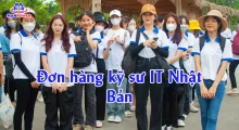 Đơn hàng kỹ sư IT Nhật Bản: Điều kiện, lộ trình đỗ nhanh, lương tốt
