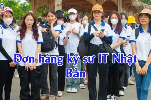 Đơn hàng kỹ sư IT Nhật Bản: Điều kiện, lộ trình đỗ nhanh, lương tốt