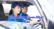 Đơn hàng lái xe Nhật Bản: Lương, điều kiện & lộ trình Tokutei đậu nhanh