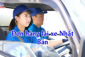 Đơn hàng lái xe Nhật Bản: Lương, điều kiện & lộ trình Tokutei đậu nhanh