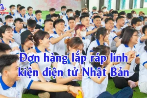 Đơn hàng lắp ráp linh kiện điện tử Nhật Bản: Lương, điều kiện & bí quyết đỗ nhanh