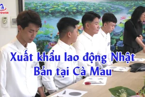 Xuất khẩu lao động Nhật Bản tại Cà Mau: Chọn đúng lộ trình để đi nhanh, lương tốt, an tâm dài lâu