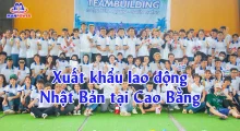 Xuất khẩu lao động Nhật Bản tại Cao Bằng: Lộ trình chọn đơn hàng “đúng người đúng việc” để đi nhanh, an tâm