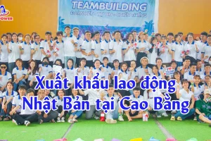 Xuất khẩu lao động Nhật Bản tại Cao Bằng: Lộ trình chọn đơn hàng “đúng người đúng việc” để đi nhanh, an tâm