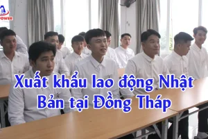 Xuất khẩu lao động Nhật Bản tại Đồng Tháp: Chọn đúng đơn hàng, đi nhanh, làm lương tốt