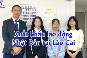 Xuất khẩu lao động Nhật Bản tại Lào Cai: Lộ trình an toàn, phí rõ, đỗ đơn cao