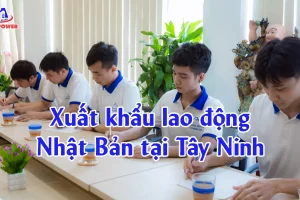 Xuất khẩu lao động Nhật Bản tại Tây Ninh: Chọn đơn hàng chuẩn, phí minh bạch, đi đúng lộ trình