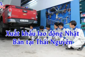 Xuất khẩu lao động Nhật Bản tại Thái Nguyên: Chọn đơn “chuẩn”, phí minh bạch, bay đúng lộ trình