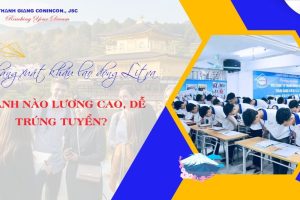 Đơn hàng xuất khẩu lao động Litva 2026 – Ngành nào lương cao, dễ trúng tuyển?