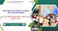 Điều kiện xuất khẩu lao động Đức 2026 có khó không? Cập nhật mới nhất cho lao động Việt
