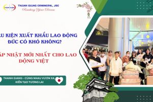 Điều kiện xuất khẩu lao động Đức 2026 có khó không? Cập nhật mới nhất cho lao động Việt