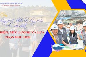 Đơn hàng xuất khẩu lao động châu Âu mới nhất – Điều kiện, mức lương và lựa chọn phù hợp