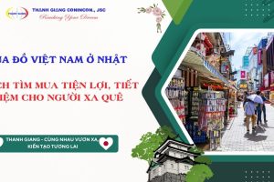 Mua đồ Việt Nam ở Nhật – Cách tìm mua tiện lợi, tiết kiệm cho người xa quê