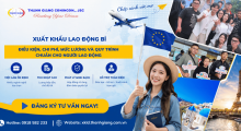 Xuất khẩu lao động Bỉ – Điều kiện, chi phí, mức lương và quy trình chuẩn cho người lao động