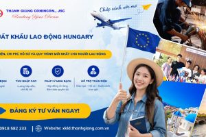 Xuất khẩu lao động Hungary 2026 – Điều kiện, chi phí, hồ sơ và quy trình mới nhất cho người lao động