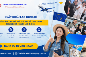 Xuất khẩu lao động Bỉ – Điều kiện, chi phí, mức lương và quy trình chuẩn cho người lao động