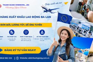 Đơn hàng xuất khẩu lao động Ba Lan – Đơn mới, lương tốt, dễ ứng tuyển