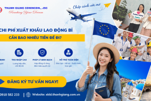 Chi phí xuất khẩu lao động Bỉ – Cần bao nhiêu tiền để đi?