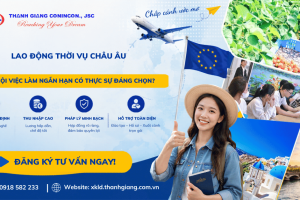 Lao động thời vụ Châu Âu – Cơ hội việc làm ngắn hạn có thực sự đáng chọn?