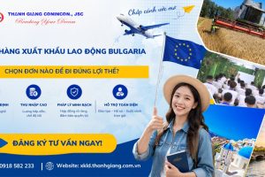 Đơn hàng xuất khẩu lao động Bulgaria – Chọn đơn nào để đi đúng lợi thế?