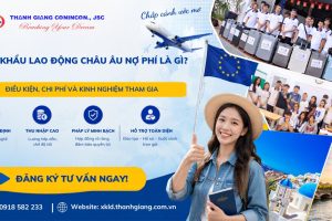 Xuất khẩu lao động Châu Âu Nợ phí là gì? Điều Kiện, chi phí và kinh nghiệm tham gia