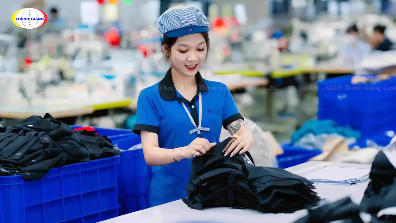 Luật lao động tại Châu Âu - Quy định về giờ làm, lương và quyền lợi mới nhất 5 công nhân may xuất khẩu lao động
