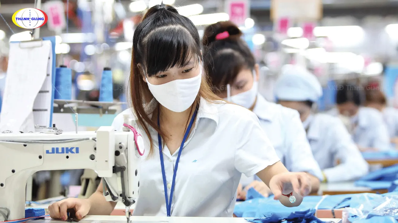 Luật lao động tại Nga - Quy định và quyền lợi mới nhất cho người lao động 6 xuất khẩu lao động ngành may