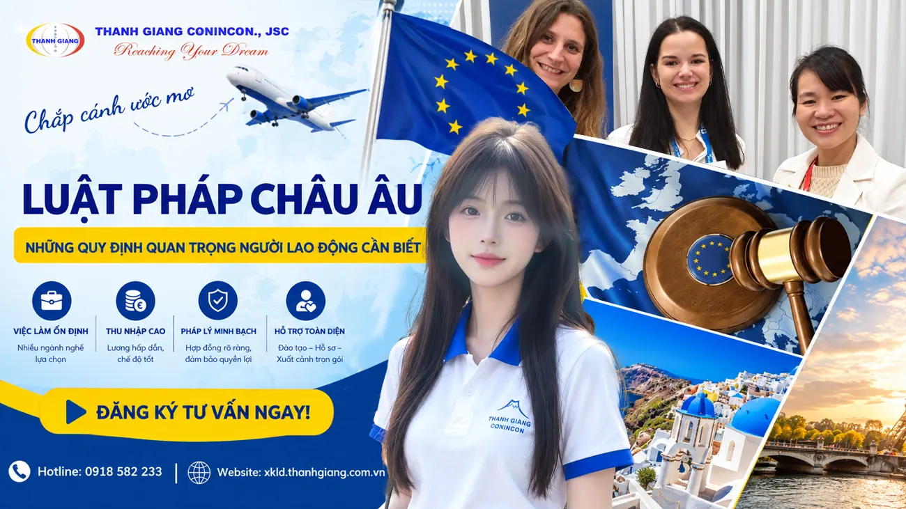 Luật pháp Châu Âu - Những quy định quan trọng người lao động cần biết 1 luật pháp châu âu