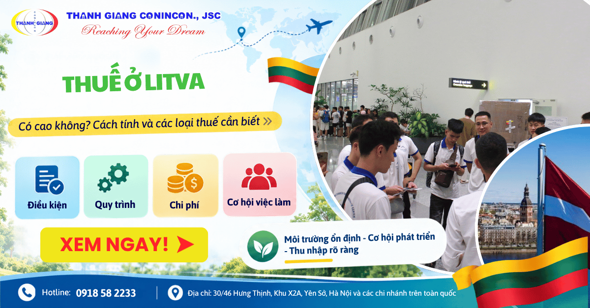 Thuế ở Litva có cao không? Cách tính và các loại thuế cần biết 1 Thuế ở Litva